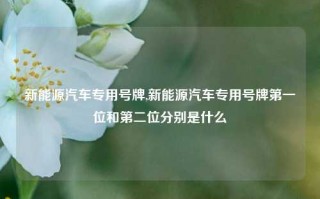 新能源汽车专用号牌,新能源汽车专用号牌第一位和第二位分别是什么