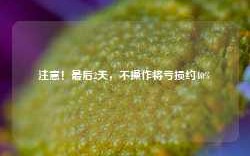 注意！最后2天，不操作将亏损约40%