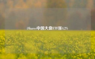 iShares中国大盘ETF涨4.2%