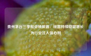 贵州茅台三季报业绩披露：经营持续稳健增长 为行业注入强心剂