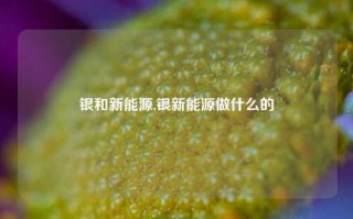 银和新能源,银新能源做什么的