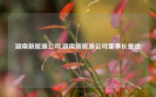 湖南新能源公司,湖南新能源公司董事长是谁