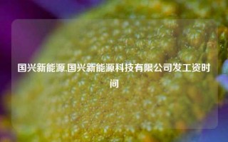 国兴新能源,国兴新能源科技有限公司发工资时间