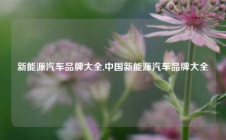 新能源汽车品牌大全,中国新能源汽车品牌大全