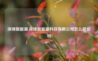 深绿新能源,深绿新能源科技有限公司怎么样公司