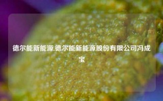 德尔能新能源,德尔能新能源股份有限公司冯成宝