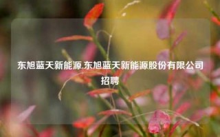 东旭蓝天新能源,东旭蓝天新能源股份有限公司招聘