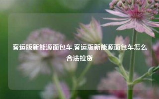 客运版新能源面包车,客运版新能源面包车怎么合法拉货