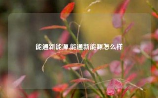 能通新能源,能通新能源怎么样