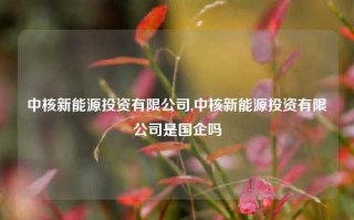 中核新能源投资有限公司,中核新能源投资有限公司是国企吗