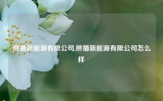 熊猫新能源有限公司,熊猫新能源有限公司怎么样