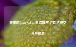 美廉航Spirit Airlines申请破产 近期将被交易所摘牌