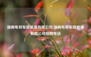 湖南电将军新能源有限公司,湖南电将军新能源有限公司招聘电话