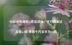 小红书电商双11收官战报：千万商家达去年5.4倍 单场千万买手为3.6倍