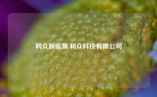 利众新能源,利众科技有限公司