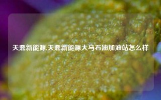 天鼎新能源,天鼎新能源大马石油加油站怎么样