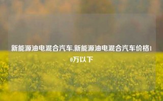 新能源油电混合汽车,新能源油电混合汽车价格10万以下