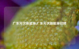 广东光伏新能源,广东光伏新能源招聘