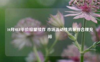 10月MLF平价缩量续作 市场流动性将保持合理充裕