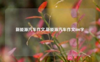 新能源汽车作文,新能源汽车作文800字