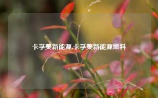 卡孚美新能源,卡孚美新能源燃料