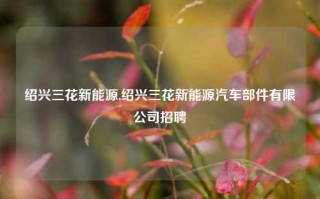 绍兴三花新能源,绍兴三花新能源汽车部件有限公司招聘