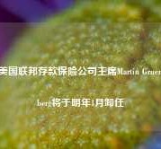 美国联邦存款保险公司主席Martin Gruenberg将于明年1月卸任