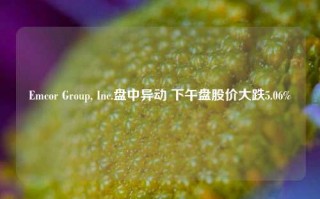 Emcor Group, Inc.盘中异动 下午盘股价大跌5.06%