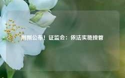 刚刚公布！证监会：依法实施接管