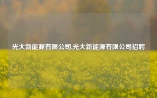 光大新能源有限公司,光大新能源有限公司招聘