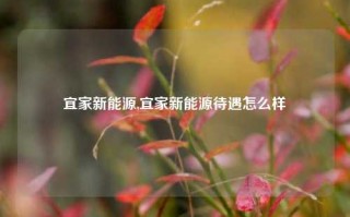 宜家新能源,宜家新能源待遇怎么样