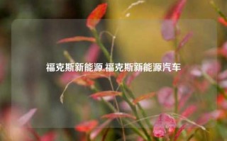 福克斯新能源,福克斯新能源汽车