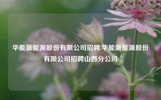 华能新能源股份有限公司招聘,华能新能源股份有限公司招聘山西分公司