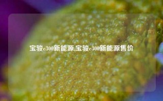 宝骏e300新能源,宝骏e300新能源售价