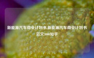 新能源汽车商业计划书,新能源汽车商业计划书范文3000知乎