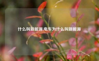 什么叫新能源,电车为什么叫新能源