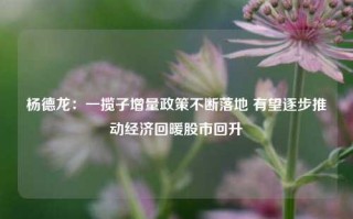 杨德龙：一揽子增量政策不断落地 有望逐步推动经济回暖股市回升