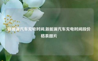 新能源汽车充电时间,新能源汽车充电时间段价格表图片