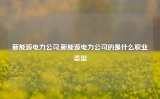 新能源电力公司,新能源电力公司的是什么职业类型