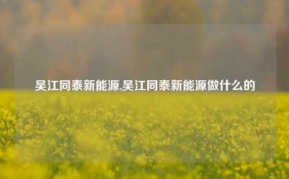 吴江同泰新能源,吴江同泰新能源做什么的