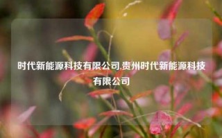 时代新能源科技有限公司,贵州时代新能源科技有限公司