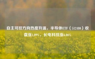 自主可控方向热度升温，半导体ETF（512480）收盘涨1.09%，长电科技涨6.06%