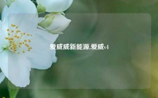 爱威威新能源,爱威v4