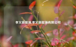 孝义新能源,孝义新能源有限公司