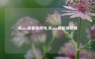 宋plus新能源纯电,宋plus新能源评测