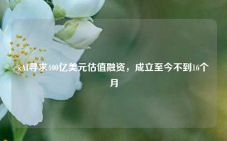 xAI寻求400亿美元估值融资，成立至今不到16个月