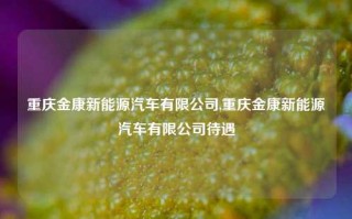 重庆金康新能源汽车有限公司,重庆金康新能源汽车有限公司待遇