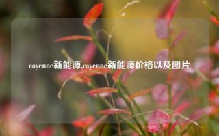 cayenne新能源,cayenne新能源价格以及图片