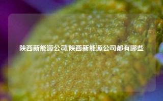 陕西新能源公司,陕西新能源公司都有哪些