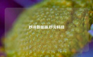 秒冲新能源,秒充科技